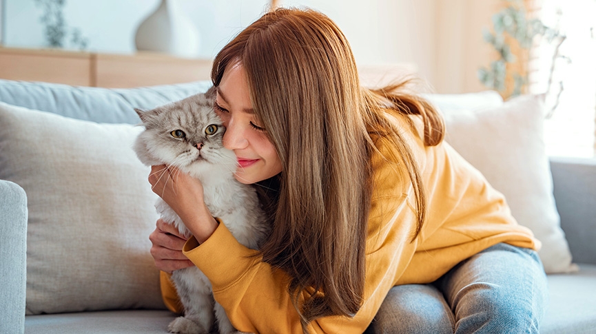 貓咪亂抓家具怎麼辦-拆解5大原因-訓練方法及防抓對策推介